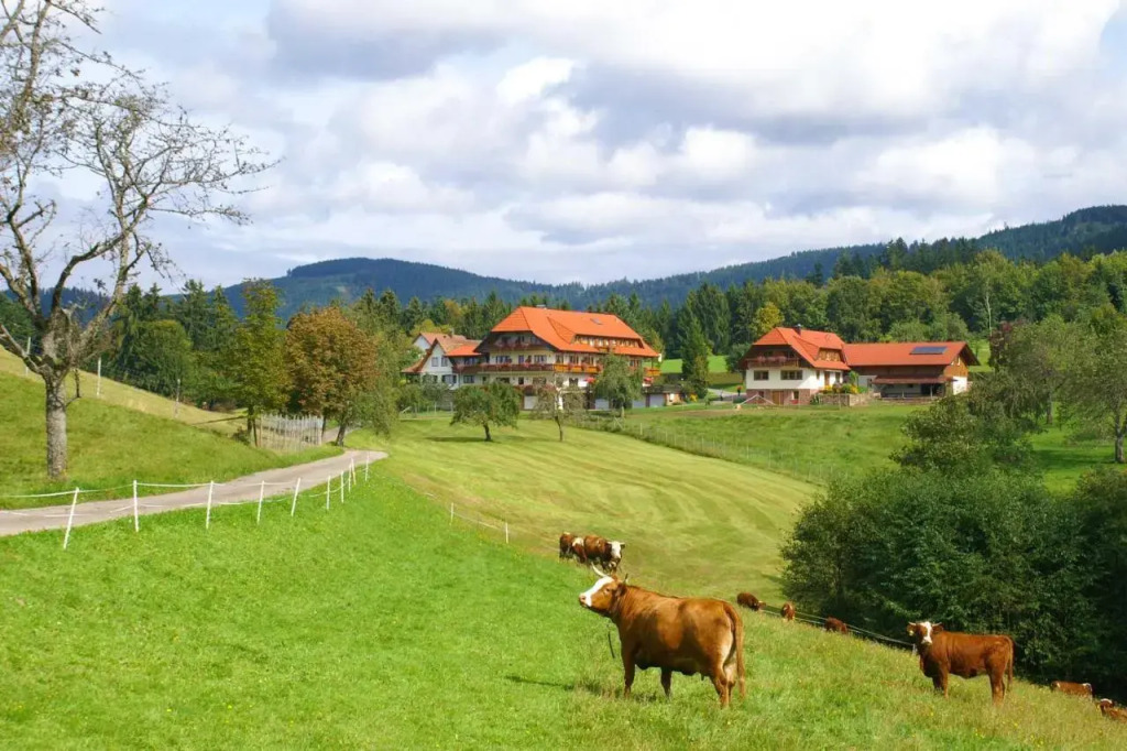 Hotel zum Breitenberg