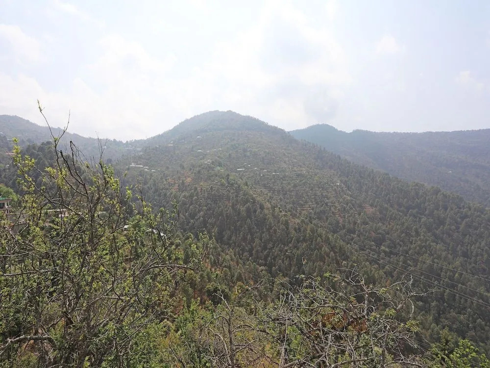 OYO 13785 Home Boutique 2BHK Ramgarh Nainital