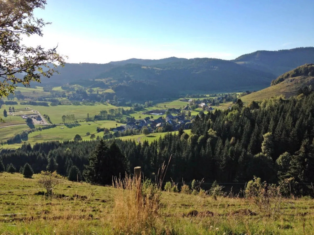 Schwarzwaldblick 30396