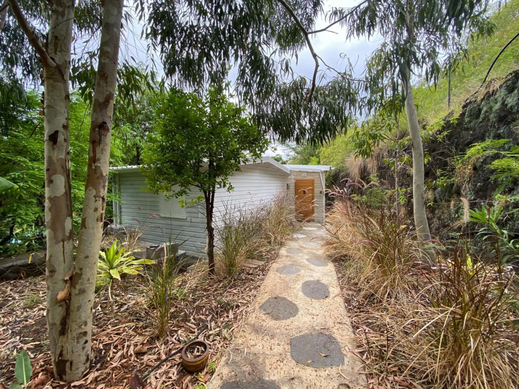 Lodge Nature