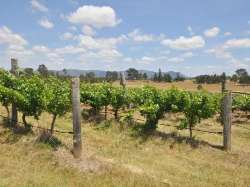 Beggars Bridge Vineyard Homestead with pool and tennis