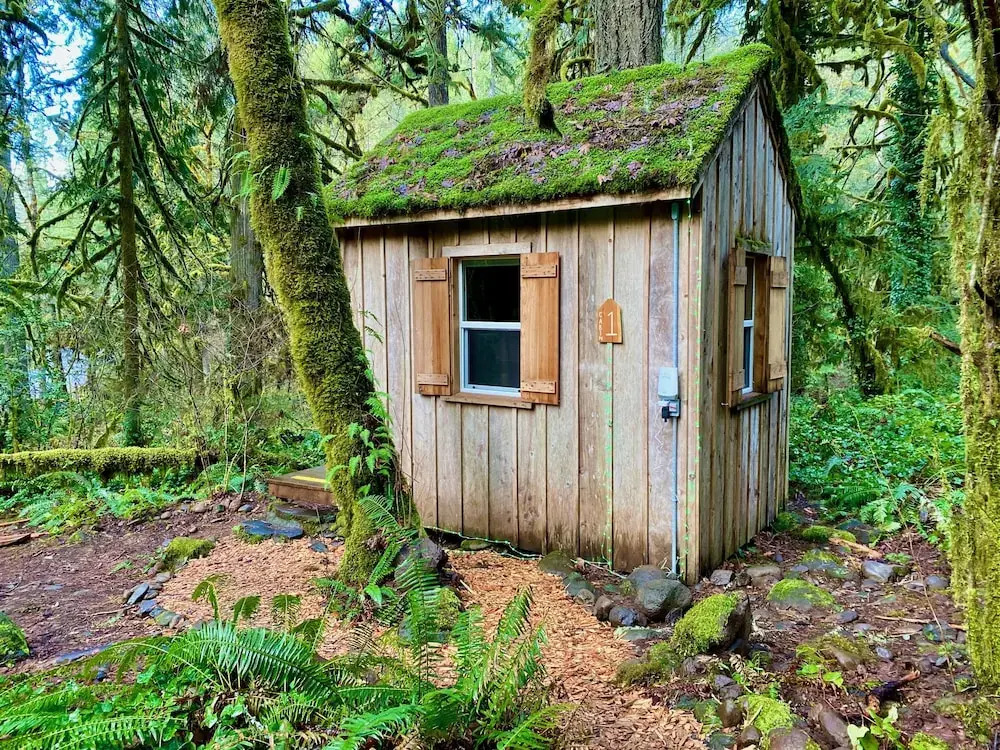 Trout Creek Wilderness Lodge