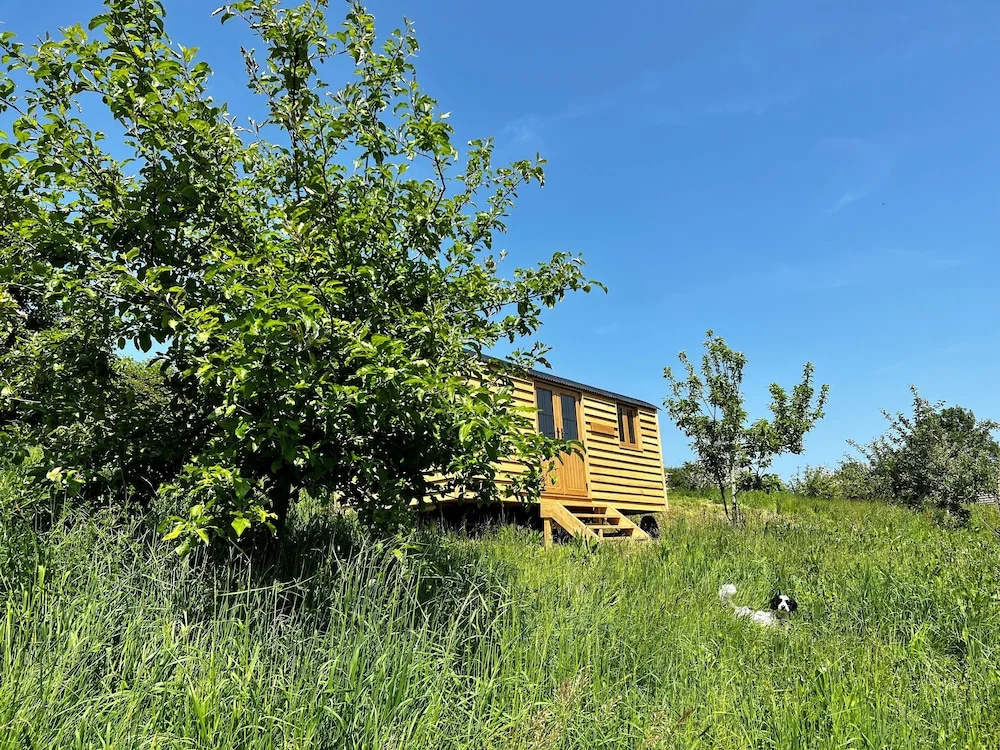 Woodpecker Hill - Apple Orchard in Alfriston
