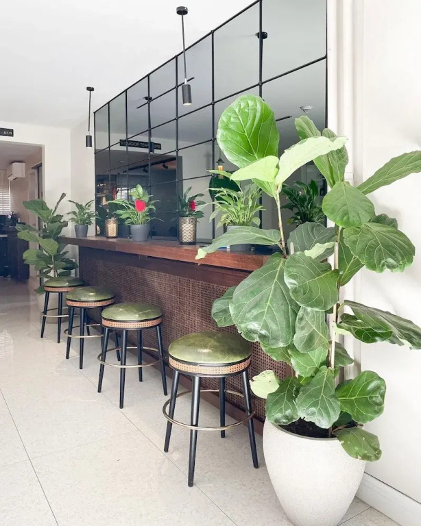Hotel Botanica