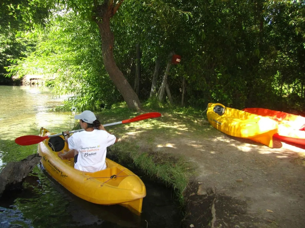 Los Coihues camping & hostel