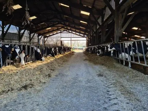 Chambre à la ferme TORCE