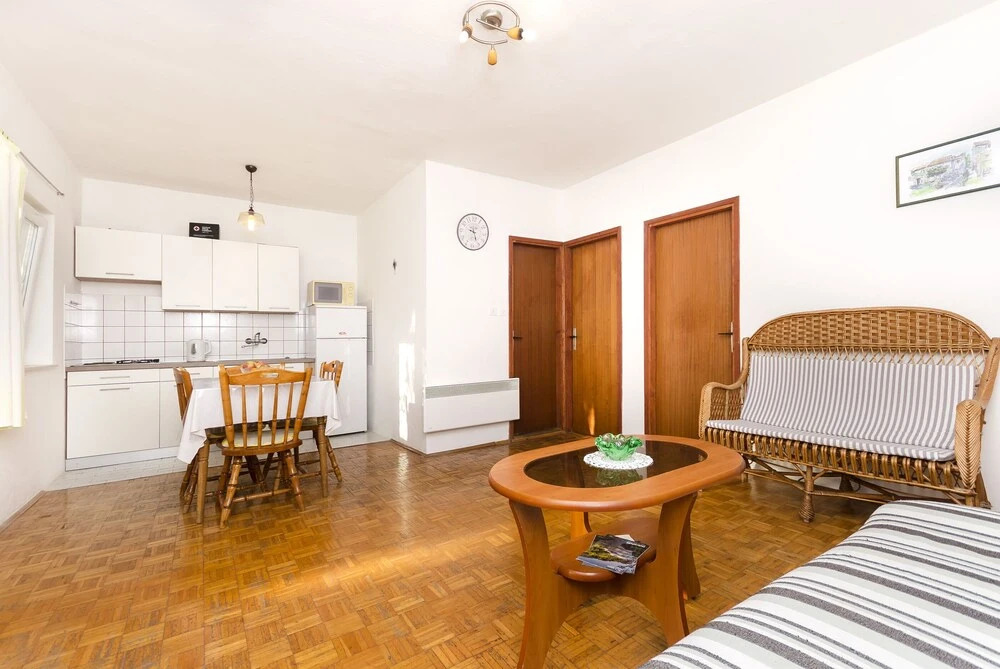 Apartment Branka