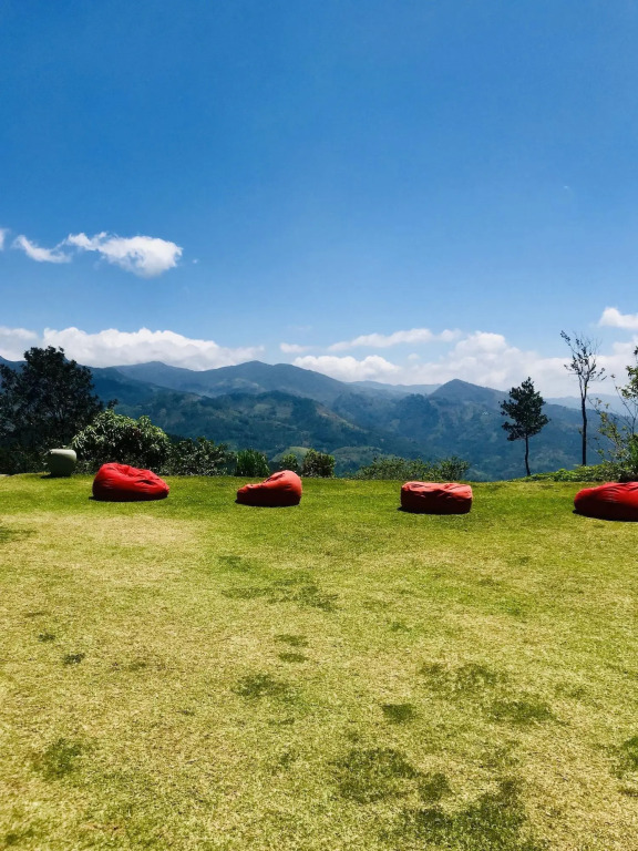 Madulkelle Tea and Eco Lodge