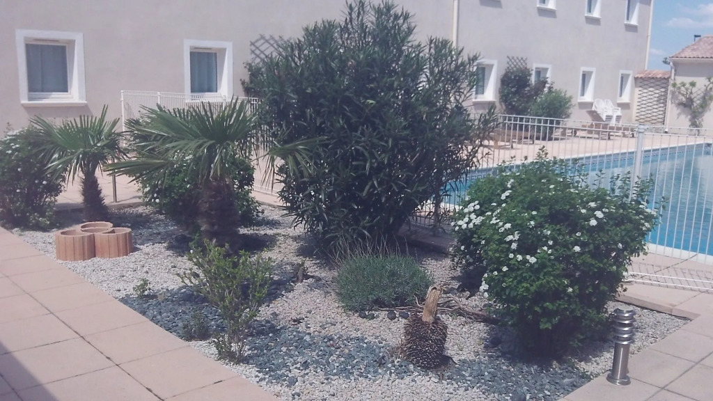 ibis Orange Sud