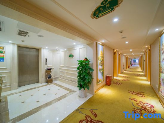 Vienna Hotel (Jishou Qianzhou Ancient City Branch)
