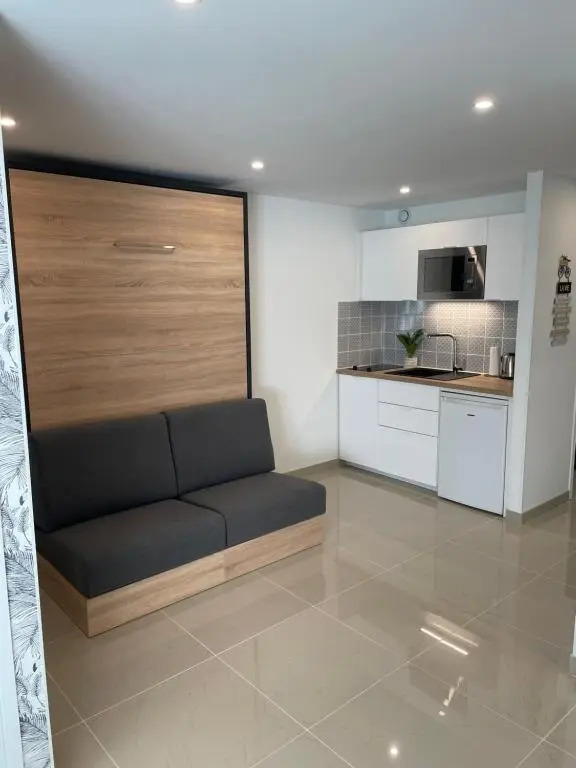 Grand studio en centre ville et à 50 mètres du port, climatisé