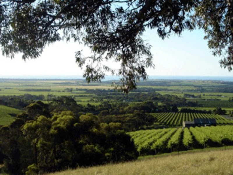 Willunga House