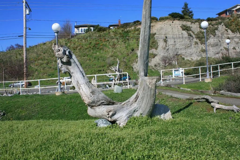 Tides Inn & Suites