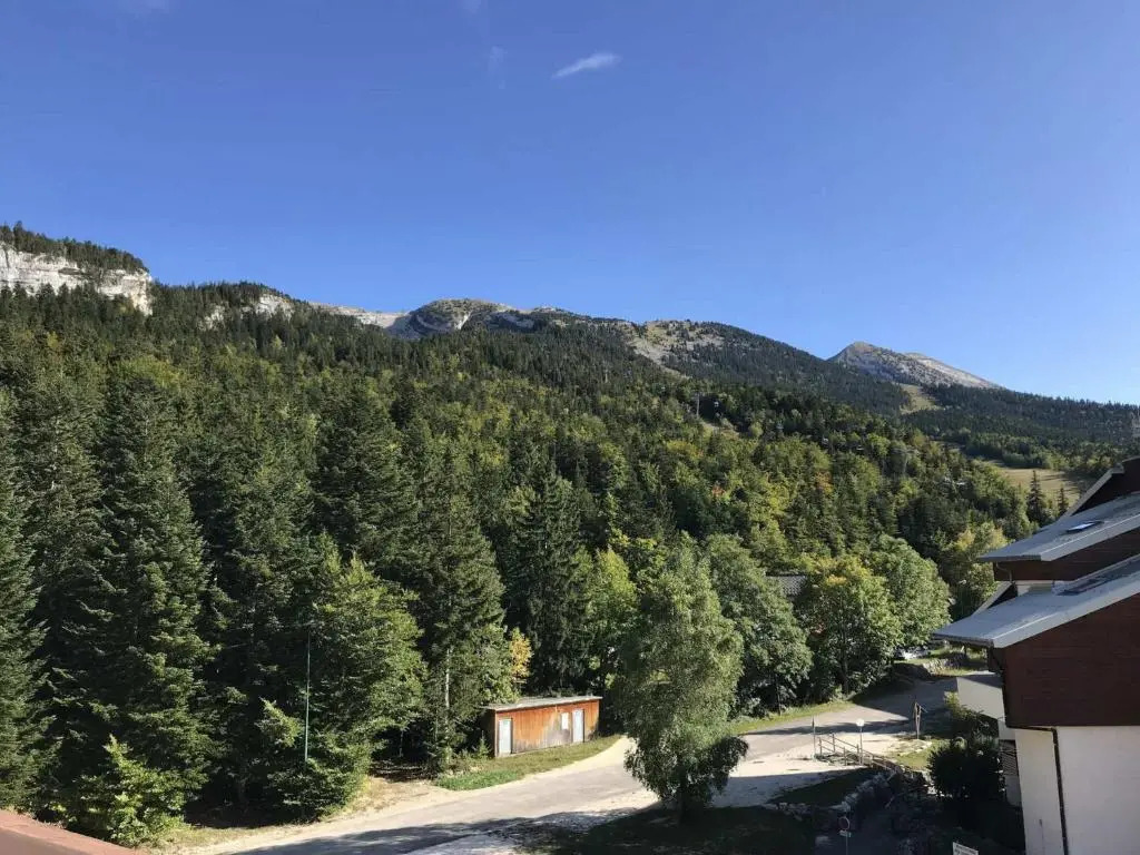 Appartement Corrençon-en-Vercors, 3 pièces, 6 personnes - FR-1-515-7