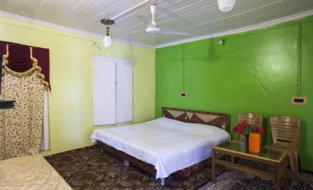 Hotel New Green View - I
