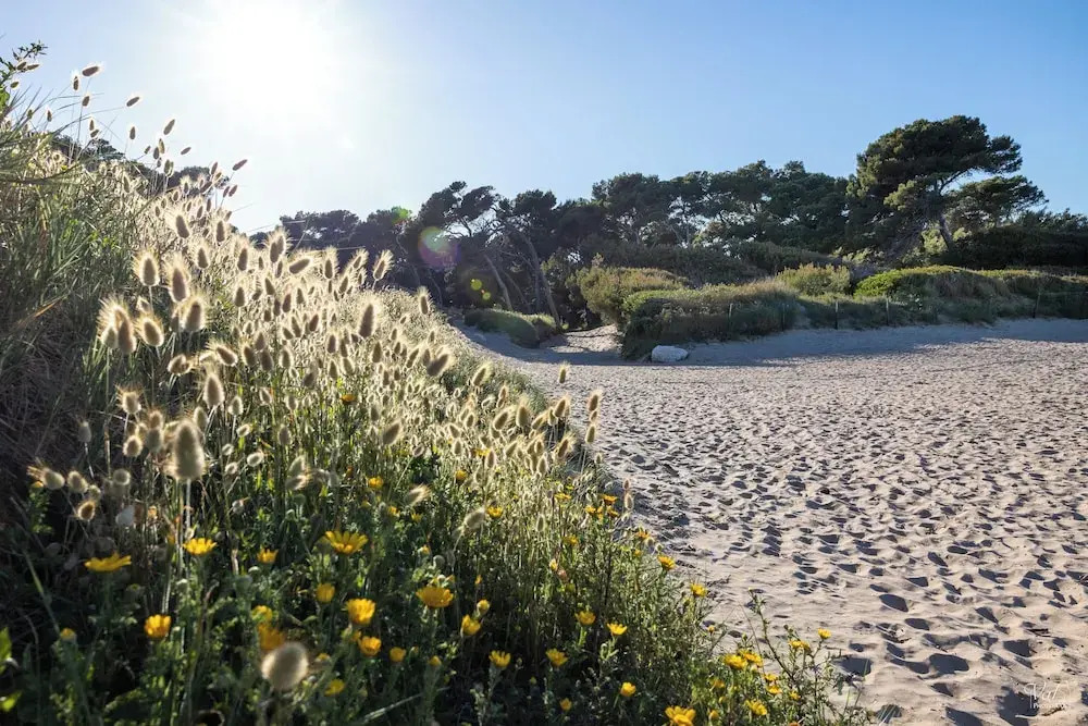 Villa Vue Mer La Californie – Face aux îles d’Or