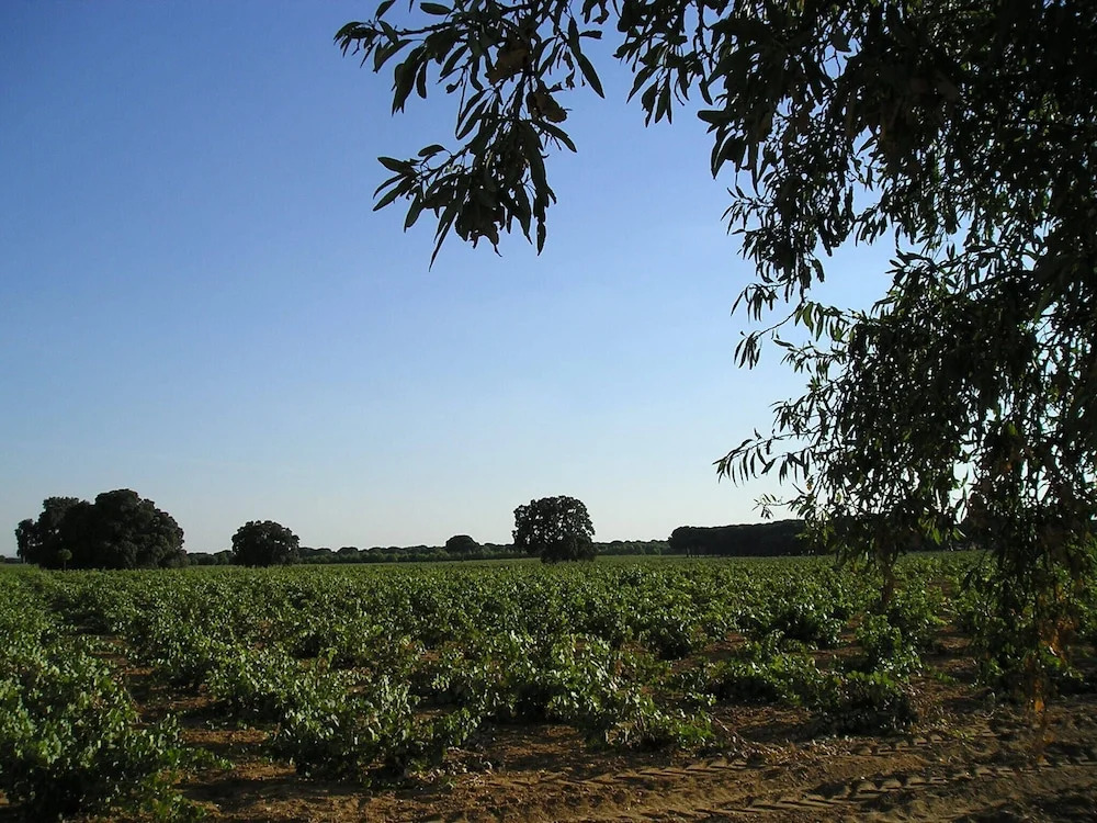 Casa Rural La Navarra