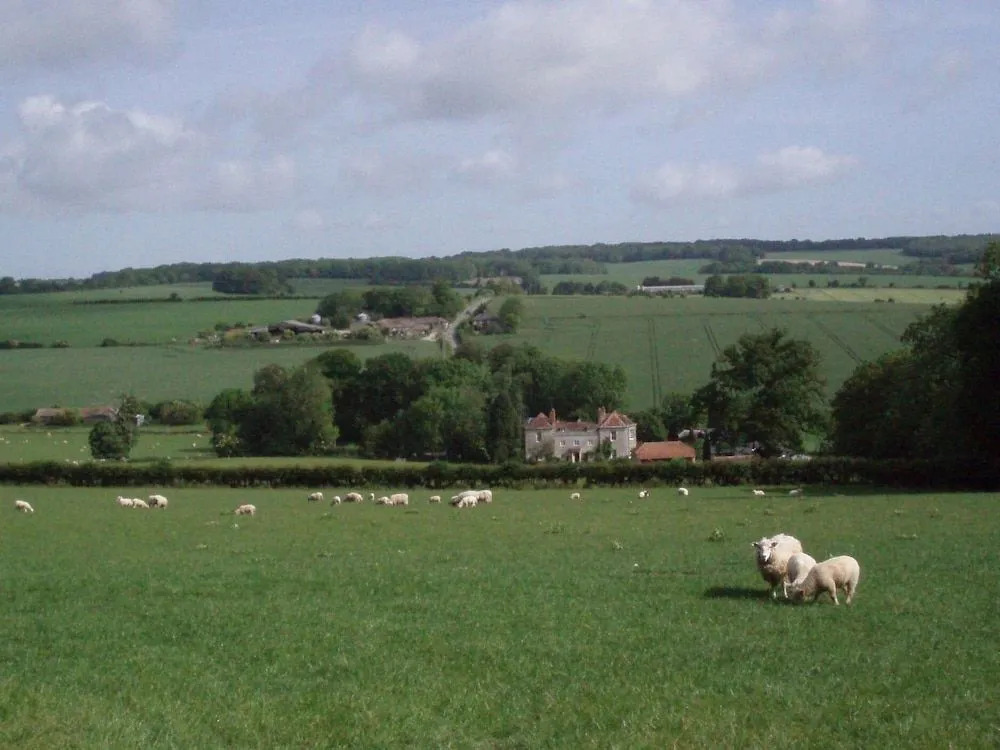 Marshwood Farm B&B and Shepherds Hut