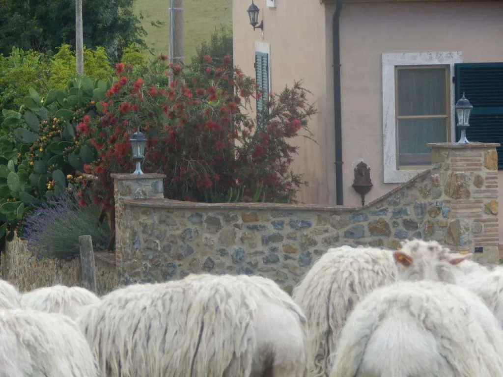 Piane Del Bagno
