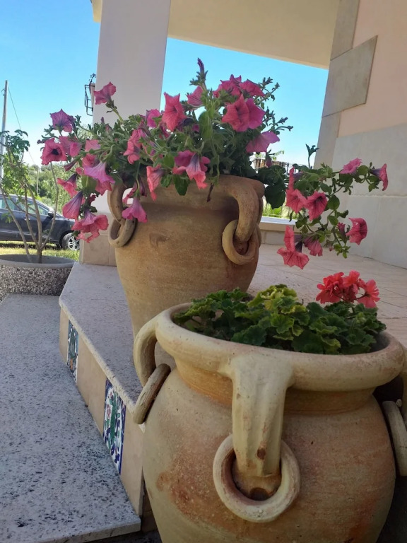 Villa Giorgia Mare, Natura, Sole, Colori E Sapori