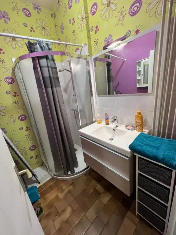 Vaste appartement douillet au cœur de la ville du cristal