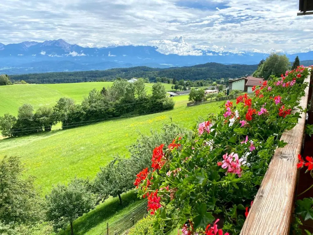 Pleschinhof