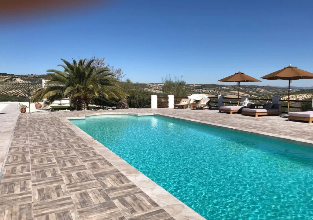 Lemon Tree Retreat at El Amparo