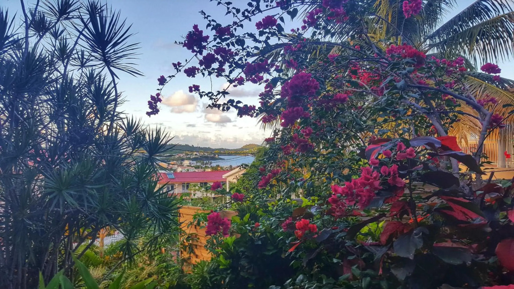 Studio Frangipani dans Villa Fleurs des Iles