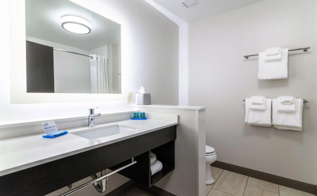 Holiday Inn Express & Suites Allen Park by IHG