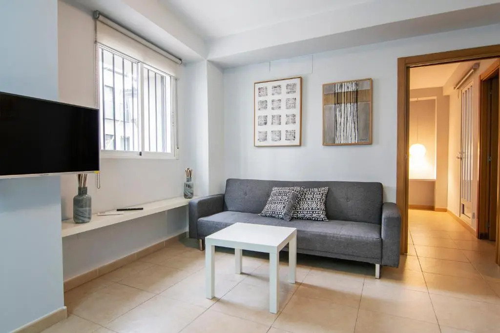VLC Downtown Flats