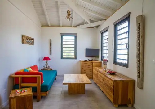 Villa Iguane House