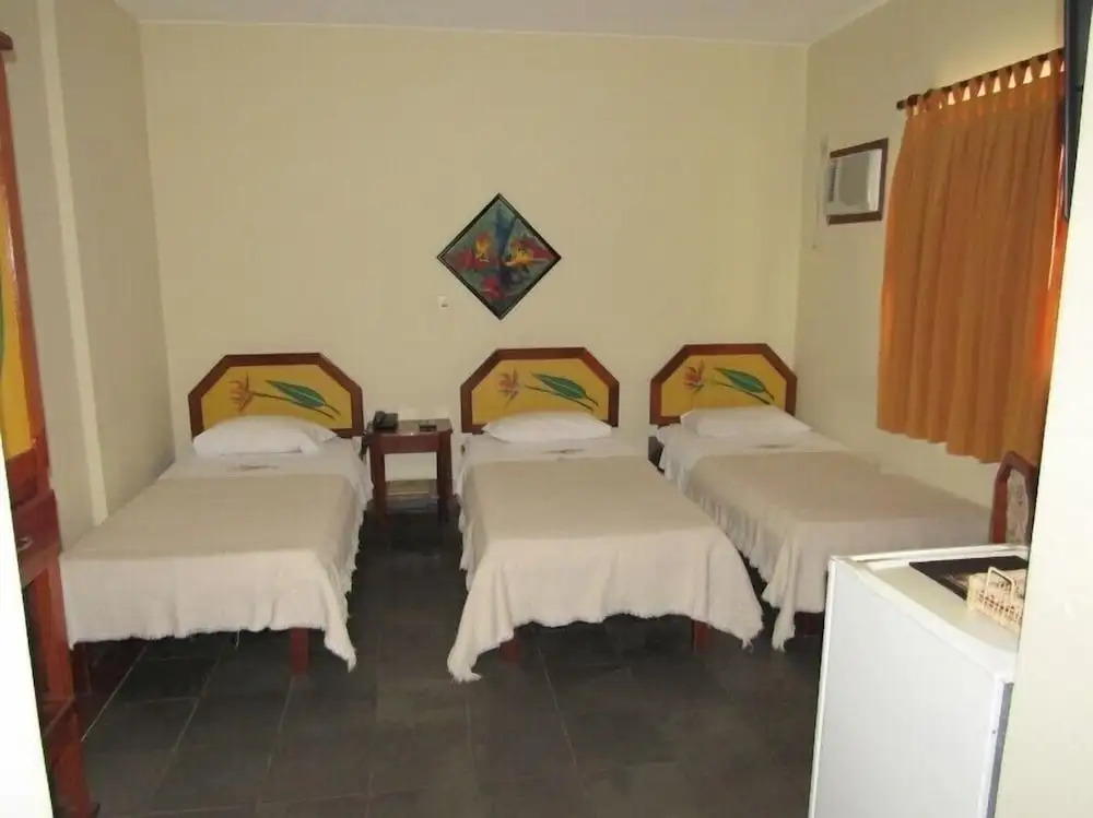 Alfenas Palace Hotel