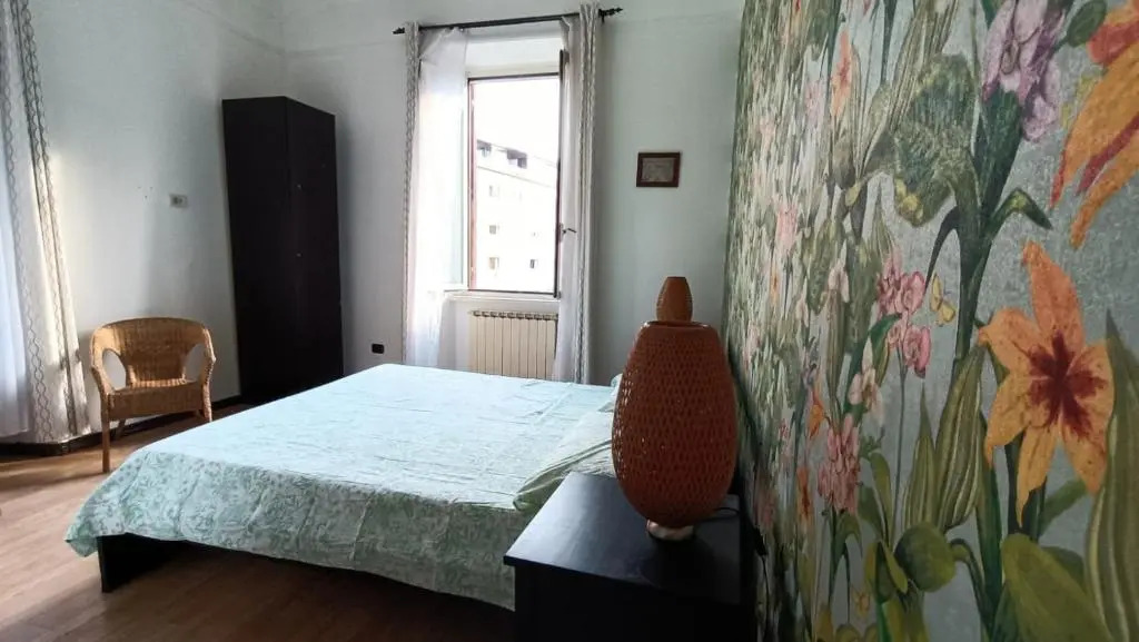 Colosseo Kokedama rooms