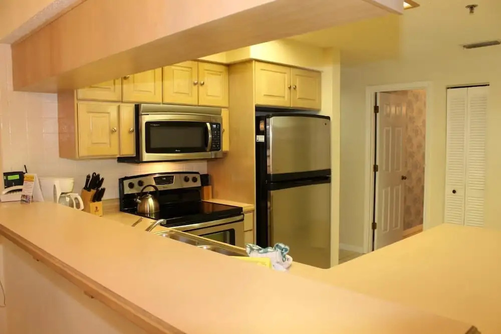 Beach Palms 505