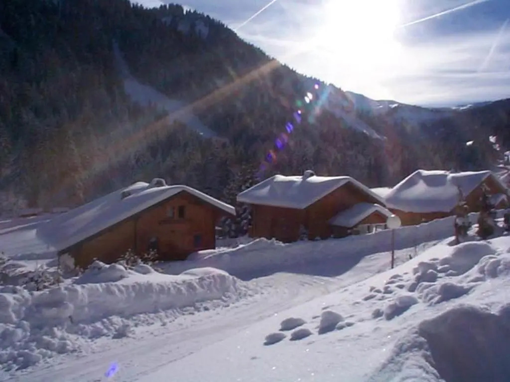 Chalet Chatel, 5 pièces, 8 personnes - FR-1-200-212