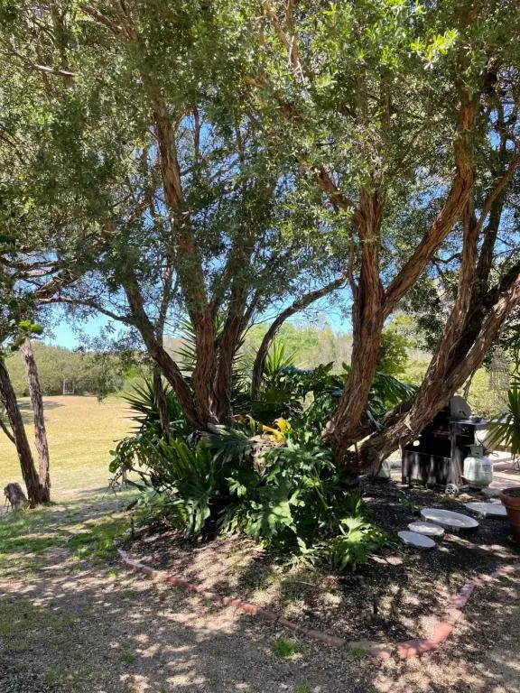 The Fingal Farm