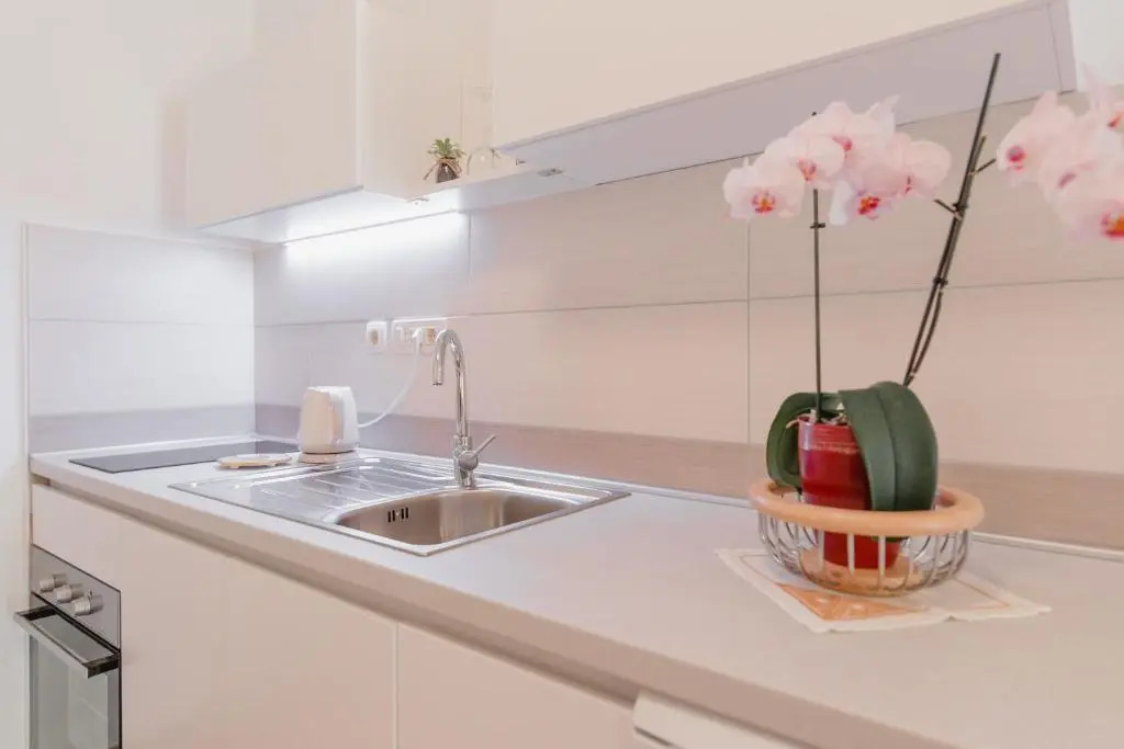 Apartments Diridonda
