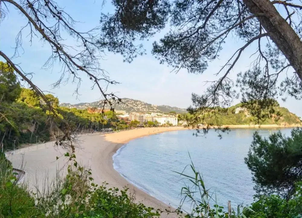 Villa in Costa Brava Near Cala Canyelles Beach
