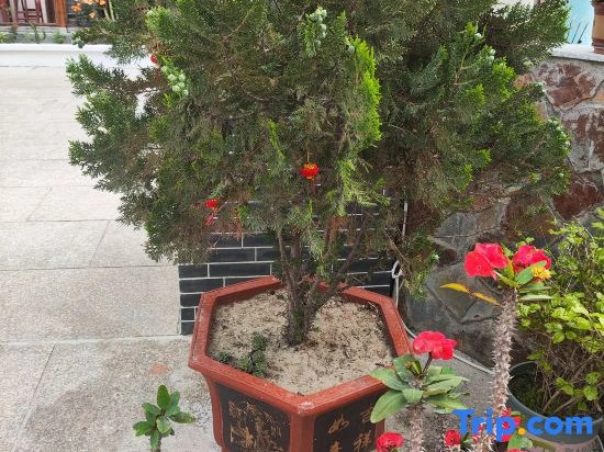 Meizhou Island Qingfeng Cottage Guesthouse (Lianchi'ao Beach Branch)