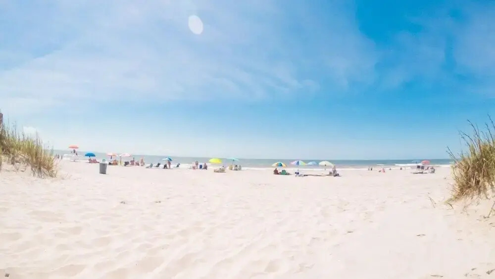 Ocean Dunes 6054