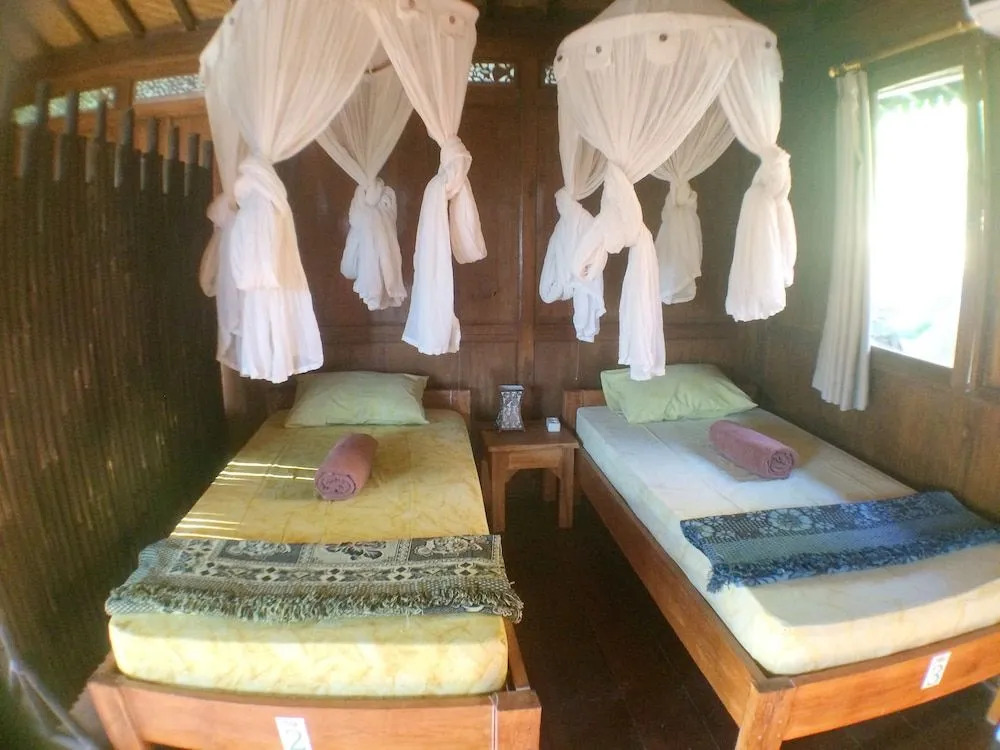 Green Paddy Hostel & Villa