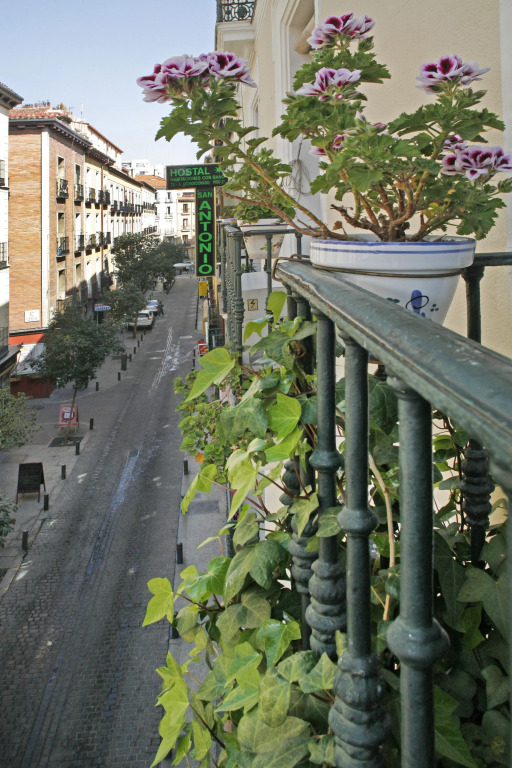 Hostal San Antonio