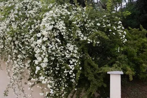 B&B Terra del Sole