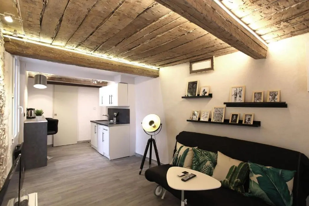 GregBnb-com - T2 Ancien et moderne - PARKING INCLUS - 15min Gare