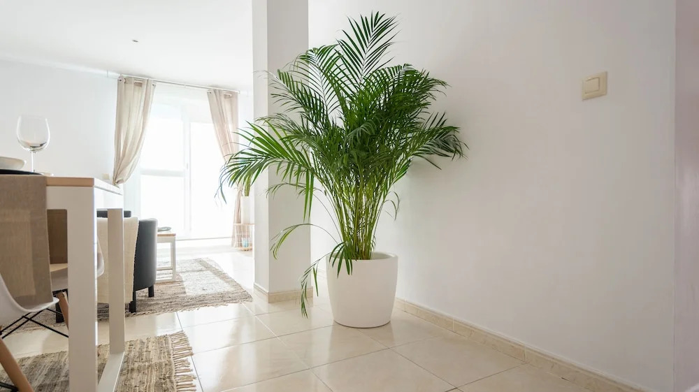 Ahro Suites Blanco Soler 3
