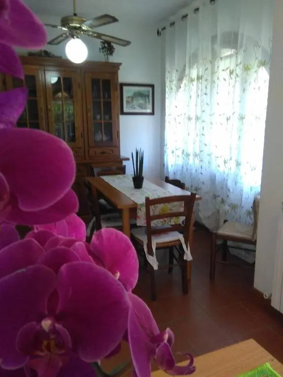 Appartamento Orchidea