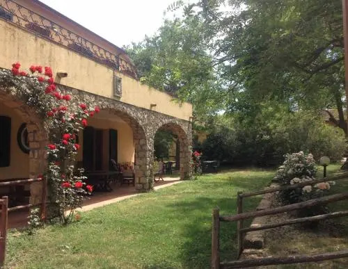 Rosaspina