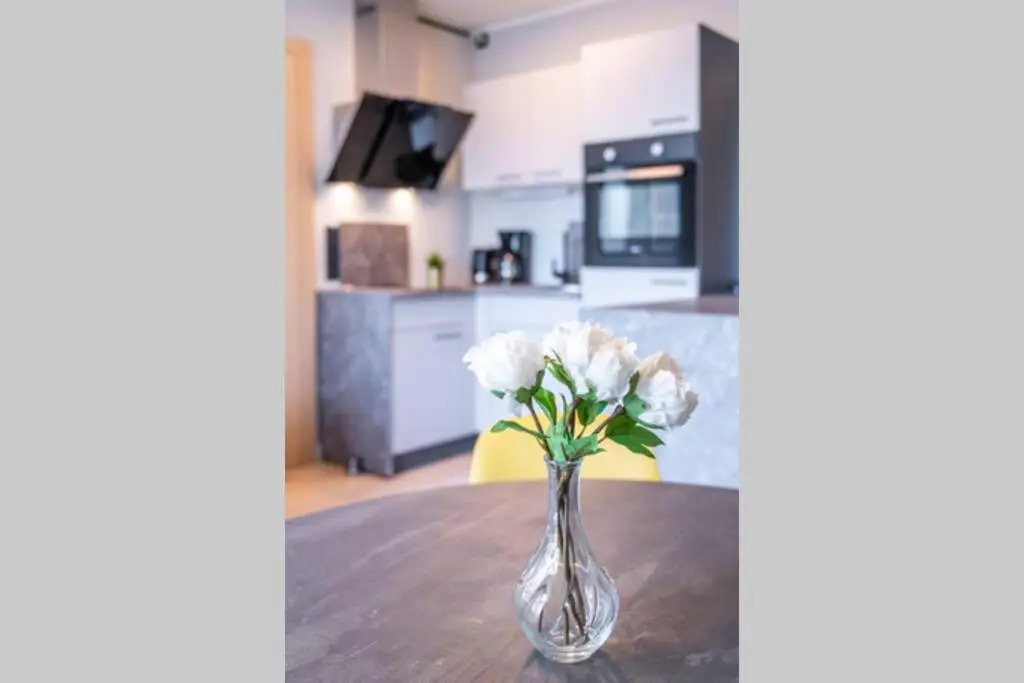 Beautiful apartment in Vienna's heart 1D