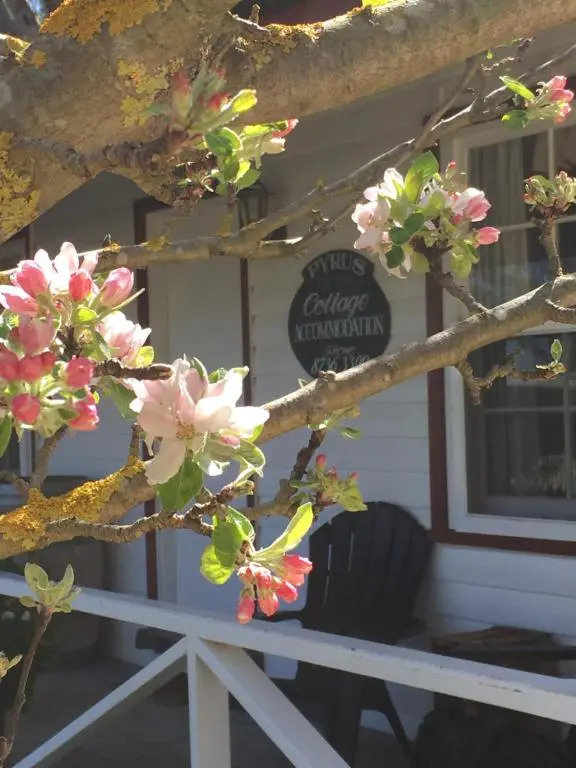 Coonawarras Pyrus Cottage