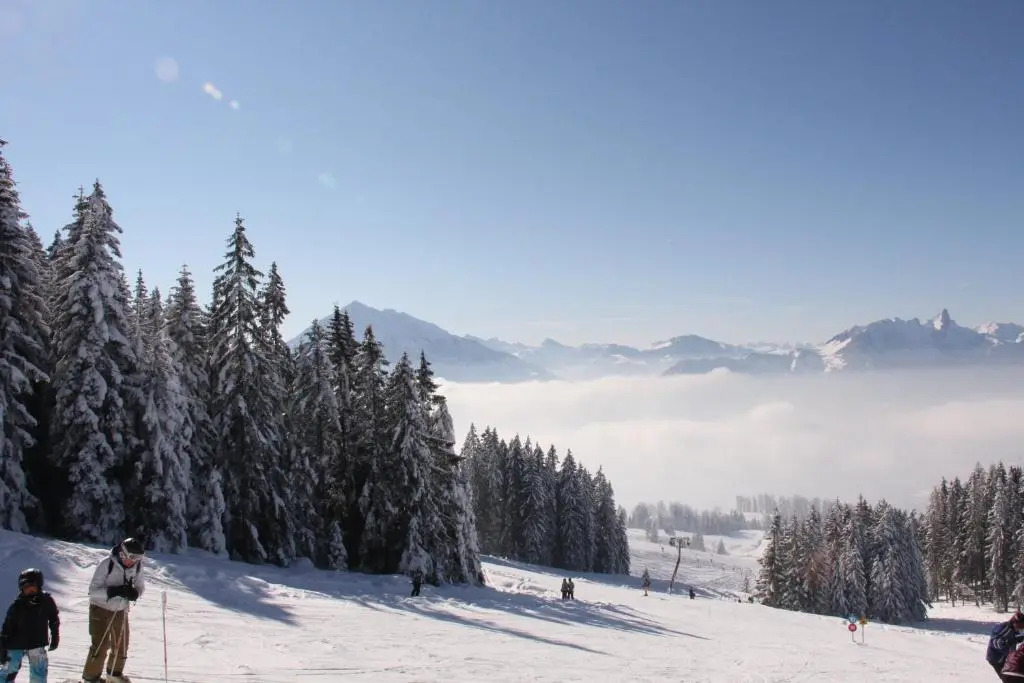 Hotel Rothorn Vintage-Style